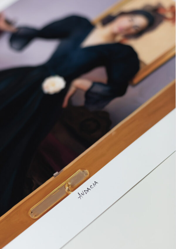 Audacity - Giclée Fine Art Print - Limited Edition - Image 3