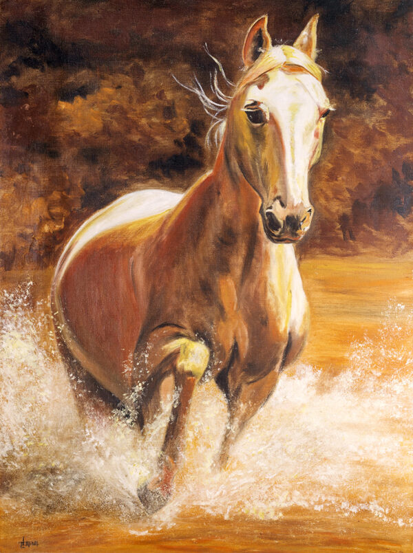 Alma Libre