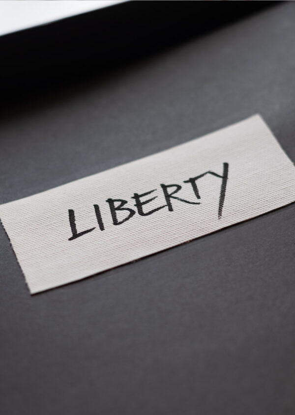 Liberty - Giclée Fine Art Print - Limited Edition of 150 - Image 6